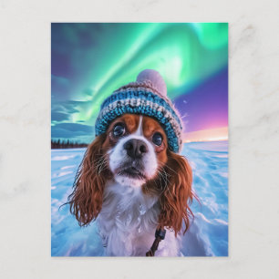 Cartes Pour Fêtes Annuelles King Charles Cocker Spaniel avec aurores boréales