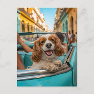 Cartes Pour Fêtes Annuelles King Charles Cocker Spaniel prend des selfies à Cu