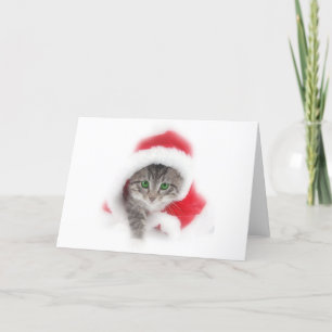 Cartes Pour Fêtes Annuelles Kitten à Santa