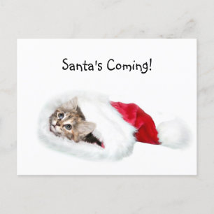 Cartes Pour Fêtes Annuelles Kitten à Santa Hat