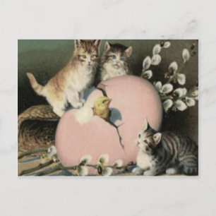 Cartes Pour Fêtes Annuelles Kitten Chat Chick de Pâques Oeuf Peint couleur cha
