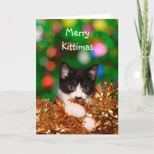 Cartes Pour Fêtes Annuelles Kitten Christmas