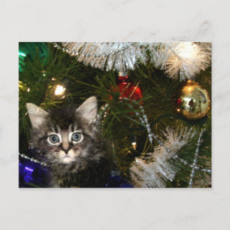 Cartes Pour Fêtes Annuelles Kitten dans l'arbre de Noël