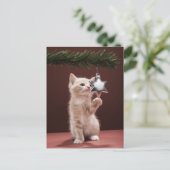 Cartes Pour Fêtes Annuelles Kitten pawing décoration de Noël sur arbre (Debout devant)