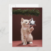 Cartes Pour Fêtes Annuelles Kitten pawing décoration de Noël sur arbre (Devant / Derrière)