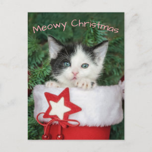 Cartes Pour Fêtes Annuelles Kitten Santa Claus Boot Stocker Meowy Noël -