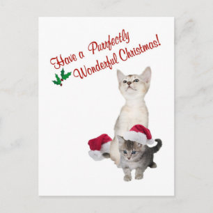 Cartes Pour Fêtes Annuelles Kitten Vraiment Merveilleux Voeux De Noël