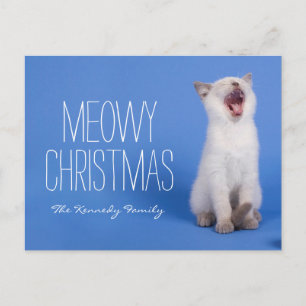 Cartes Pour Fêtes Annuelles Kitten yawning