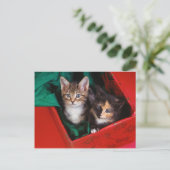 Cartes Pour Fêtes Annuelles Kittens de Noël (Debout devant)