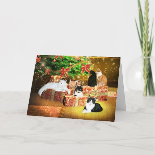 Cartes Pour Fêtes Annuelles Kitty cat Noël (Devant)