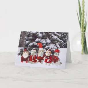 Cartes Pour Fêtes Annuelles Kitty Cats de Funny