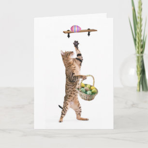 Cartes Pour Fêtes Annuelles Kitty Chasse aux oeufs de Pâques