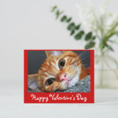 Cartes Pour Fêtes Annuelles Kitty Kat (Debout devant)