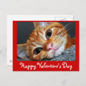 Cartes Pour Fêtes Annuelles Kitty Kat (Devant / Derrière)