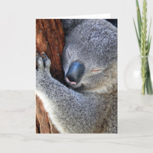 Cartes Pour Fêtes Annuelles Koala