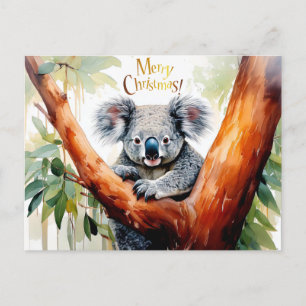 Cartes Pour Fêtes Annuelles Koala assis dans un arbre à gomme Joyeux Noël