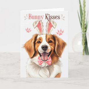 Cartes Pour Fêtes Annuelles Kooikerhondje Chien dans les oreilles de Bunny pou