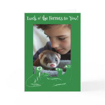 La chance des furets Saint Patrick's Day