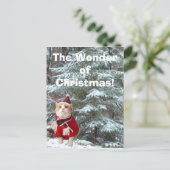 Cartes Pour Fêtes Annuelles La merveille de Noël ! (Debout devant)
