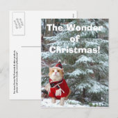 Cartes Pour Fêtes Annuelles La merveille de Noël ! (Devant / Derrière)