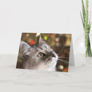 Cartes Pour Fêtes Annuelles La merveille de Noël (carte)