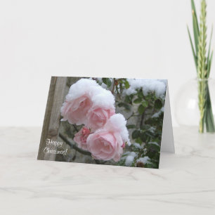 Cartes Pour Fêtes Annuelles La neige rose a couvert Noël de roses