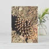 Cartes Pour Fêtes Annuelles La Pinecone de la sangle (Debout devant)