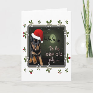 Cartes Pour Fêtes Annuelles La Saison Pour Être Joyeux Câlin De Vacances De No