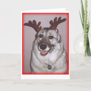 Cartes Pour Fêtes Annuelles La savane de cerfs communs avec le rouge