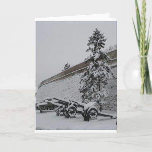 Cartes Pour Fêtes Annuelles La Serbie dans la neige (Devant)