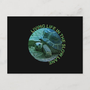 Cartes Pour Fêtes Annuelles La Voie Lente