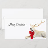 Cartes Pour Fêtes Annuelles Laboratoire jaune de rennes (Devant / Derrière)