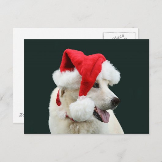 Cartes Pour Fêtes Annuelles Laboratoire jaune Père Noël (Devant / Derrière)