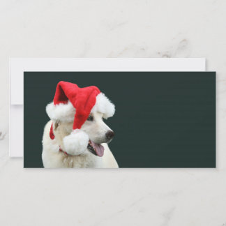 Cartes Pour Fêtes Annuelles Laboratoire jaune Père Noël