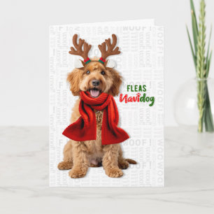 Cartes Pour Fêtes Annuelles Labradoodle Chien Drôle Puces Navidog Noël
