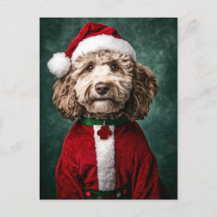 Cartes Pour Fêtes Annuelles Labradoodle en fête de Noël
