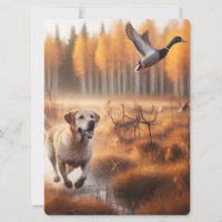 Labrador/chien en automne chasse au canard