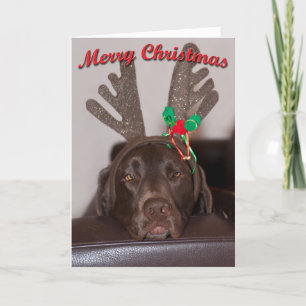 Cartes Pour Fêtes Annuelles Labrador De Noël Humoristique Avec Antlers De Part