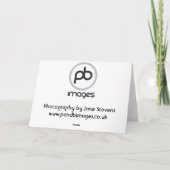 Cartes Pour Fêtes Annuelles Labrador - Noir (Dos)