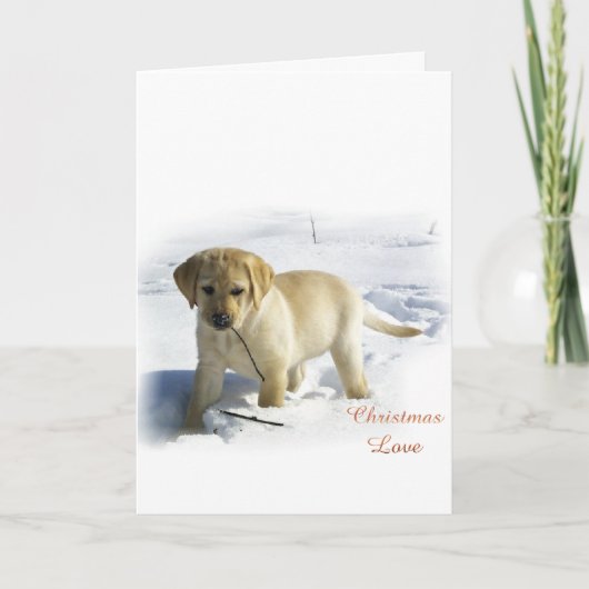 Cartes Pour Fêtes Annuelles Labrador Retriever Cadeaux de Noël (Devant)