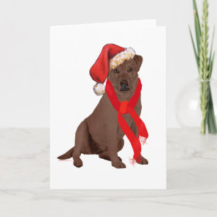 Cartes Pour Fêtes Annuelles Labrador Retriever Chocolat Noël