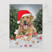 Cartes Pour Fêtes Annuelles Labrador Retriever Père Noël Cadeaux (Devant)