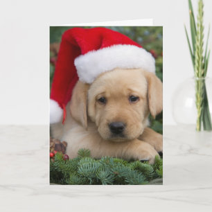 Cartes Pour Fêtes Annuelles Labrador Retriever Puppy Avec Santa Hat