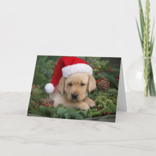 Cartes Pour Fêtes Annuelles Labrador Retriever Puppy Avec Santa Hat