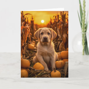 Cartes Pour Fêtes Annuelles Labrador Retriever Thanksgiving