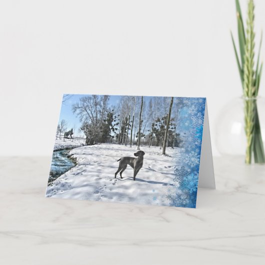 Cartes Pour Fêtes Annuelles Laisse-le neiger, laisse-le neiger, laisse-le neig (Devant)