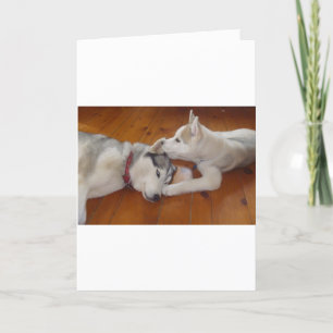 Cartes Pour Fêtes Annuelles Laisse-moi chuchoter dans ton oreille...."Je t'aim