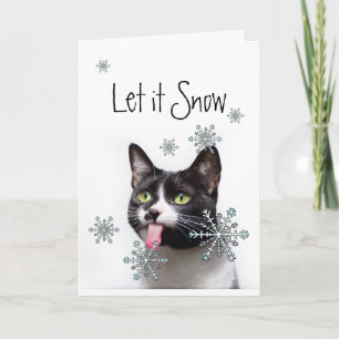 Cartes Pour Fêtes Annuelles Laisser neiger hiver Snowflakes amusant Noël Chat 