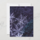 Cartes Pour Fêtes Annuelles Lait et biscuits pour le Père Noël (Dos)