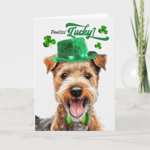 Cartes Pour Fêtes Annuelles Lakeland Terrier Se Sent Chanceux à la Saint-Patri